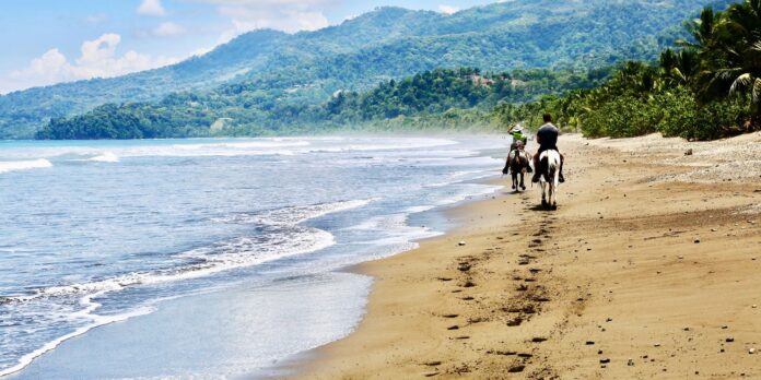 Best Time to Visit Costa Rica